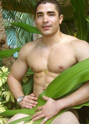 Gabriel Latino Muscular Body